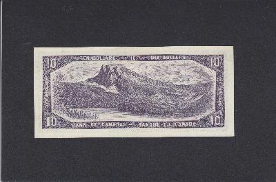 Beschrijving achterzijde: MOUNTAIN